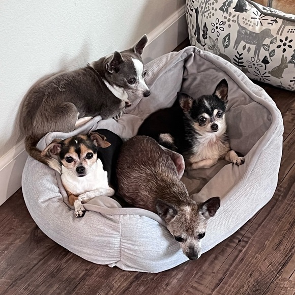 WELCOME TO MY CLOSET! - Picture 4 of 6